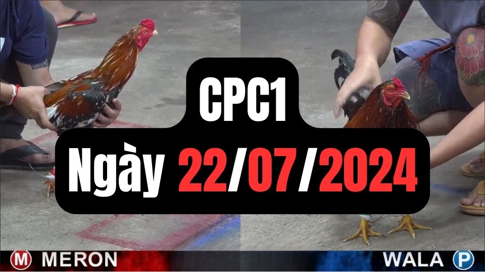 Trực tiếp đá gà thomo CPC1 ngày 22-07-2024