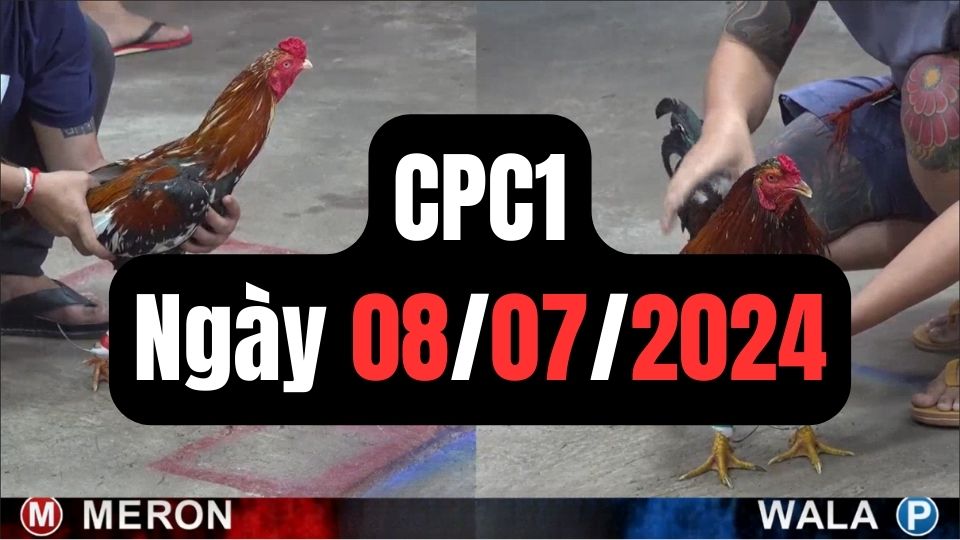 Trực tiếp đá gà thomo CPC1 ngày 08-07-2024