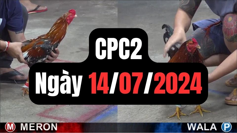 Trực tiếp đá gà thomo CPC2 ngày 14-07-2024