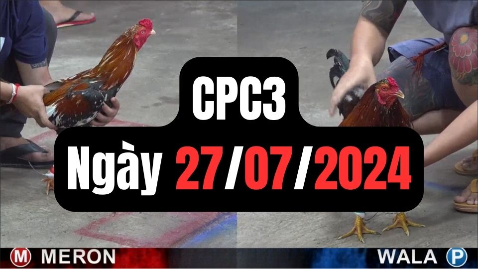 Trực tiếp đá gà thomo CPC3 ngày 27-07-2024