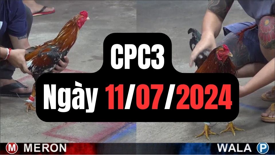 Trực tiếp đá gà thomo CPC3 ngày 11-07-2024