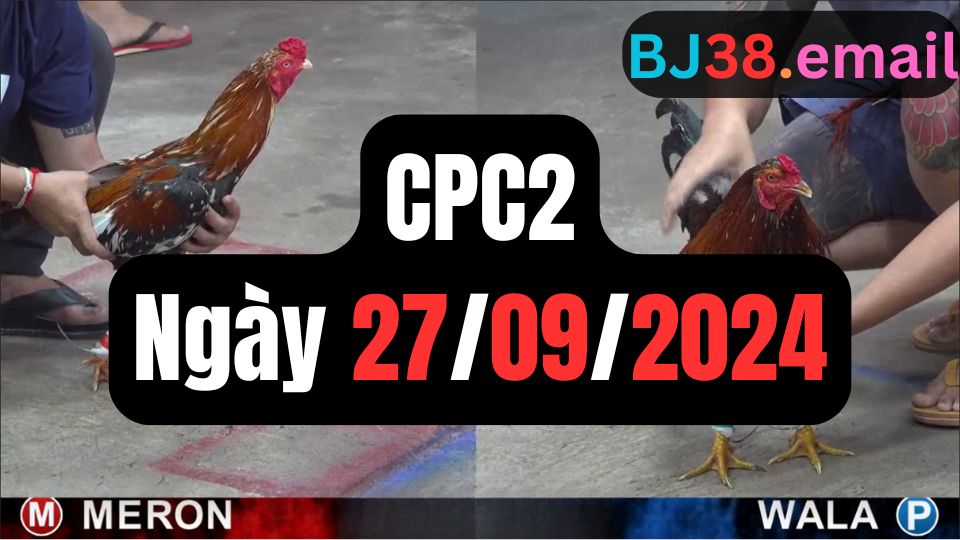 Trực tiếp đá gà thomo CPC2 gày 27-09-2024