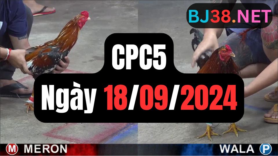 Trực tiếp đá gà thomo CPC5 ngày 18-09-2024