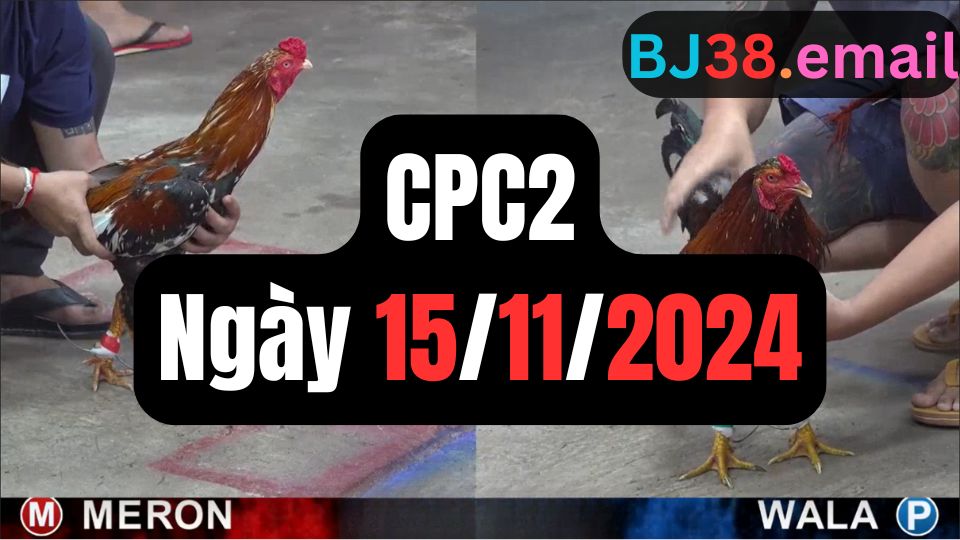 Trực tiếp đá gà thomo CPC2 ngày 15-11-2024