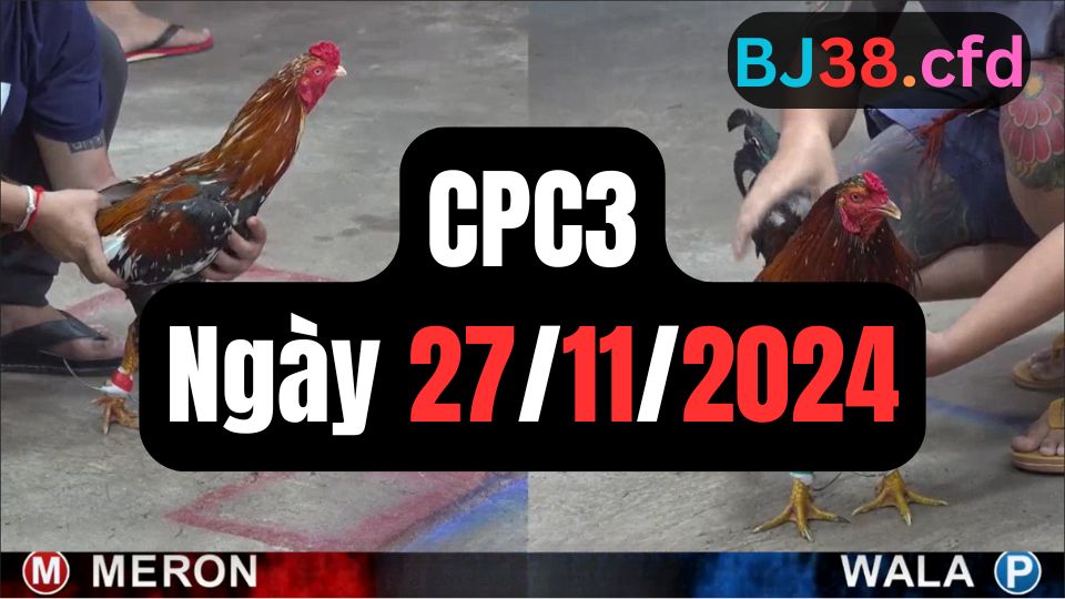 Trực tiếp đá gà thomo CPC3 ngày 27-11-2024